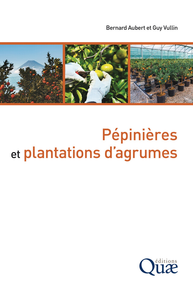 Pépinières et plantations d’agrumes - Bernard Aubert, Guy Vullin - Quæ