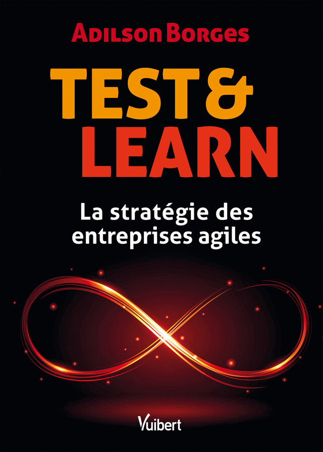 Test & Learn : La stratégie des entreprises agiles - Adilson Borges - Vuibert