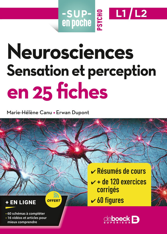 Neurosciences : Sensation et perception en 25 fiches - Licences 1 et 2 - Marie-Hélène Canu, Erwan Dupont - De Boeck Supérieur