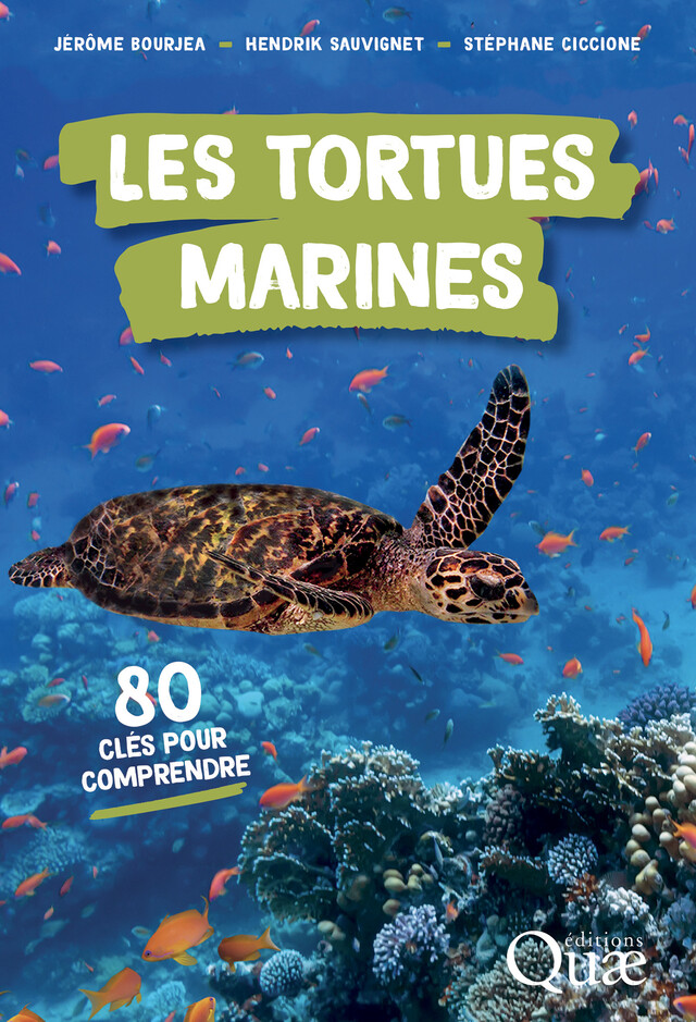 Les tortues marines - Jérôme Bourjea, Hendrik Sauvignet, Stéphane Ciccione - Quæ