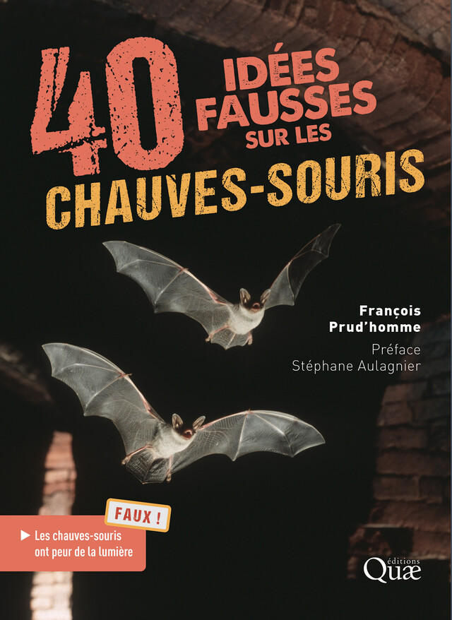 40 idées fausses sur les chauves-souris - François Prud’Homme - Quæ