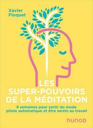 Les super-pouvoirs de la méditation - Xavier Floquet - Dunod