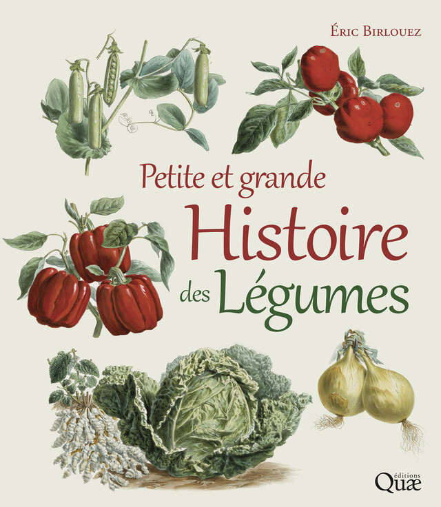 Petite et grande histoire des légumes - Éric Birlouez - Quæ