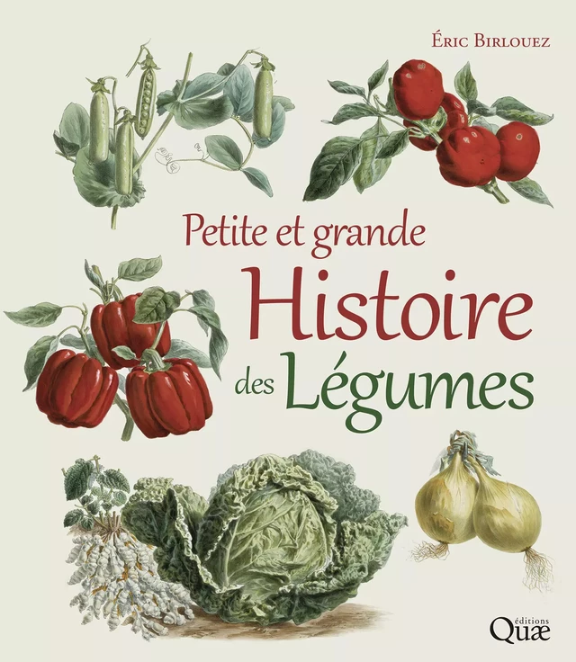Petite et grande histoire des légumes - Eric Birlouez - Quæ