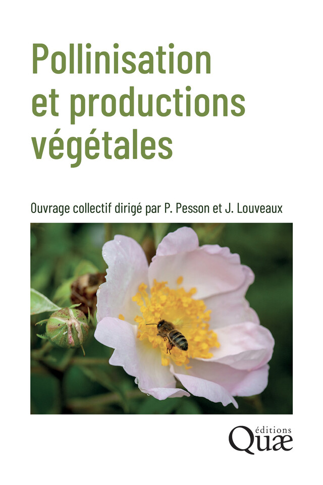 Pollinisation et productions végétales - Paul Pesson, Jean Louveaux - Quæ