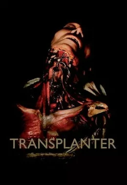 Transplanter