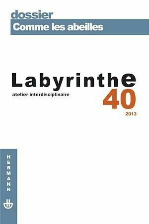 Labyrinthe 40 - Renaud Pasquier - Hermann