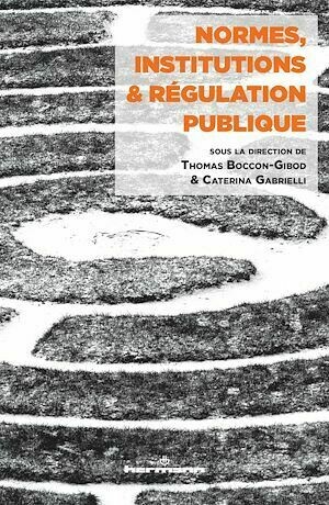 Normes, institutions et régulation publique - Thomas Boccon-Gibod - Hermann