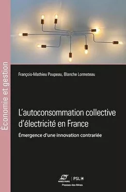 L'autoconsommation collective d'électricité en france