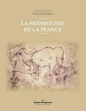 La Préhistoire de la France - François Djindjian - Hermann
