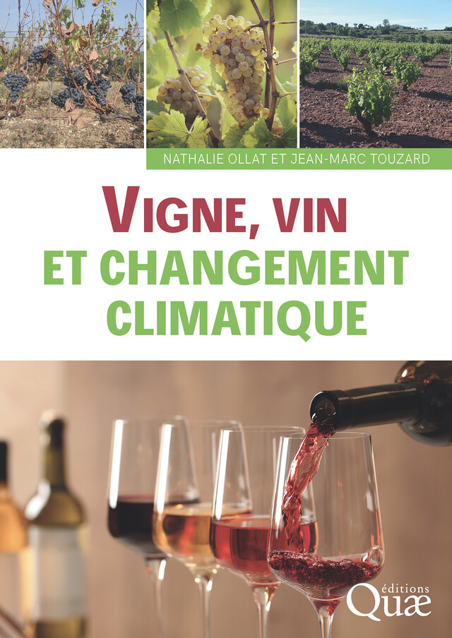 Vigne, vin et changement climatique - Nathalie Ollat, Jean-Marc Touzard - Quæ