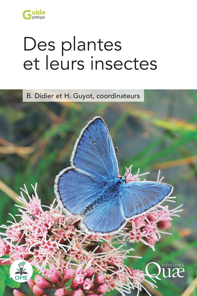 Des plantes et leurs insectes - Bruno Didier, Hervé Guyot - Quæ