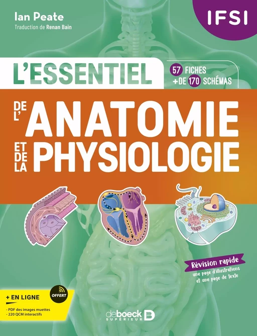 IFSI - L'essentiel de l’anatomie et de la physiologie humaines en fiches - Ian Peate - De Boeck Supérieur