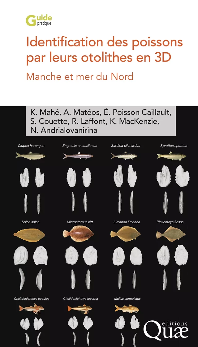 Identification des poissons par leurs otolithes en 3D - Mahé Kélig, Aurélie Matéos, Émilie Poisson Caillault, Sébastien Couette, Rémi Laffont, Mackenzie Kirsteen, Nicolas Andrialovanirina - Quæ