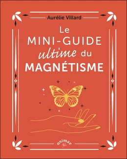 Le Mini-guide ultime du magnétisme