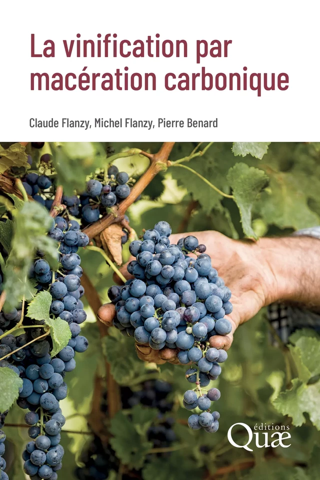 La vinification par macération carbonique - Claude Flanzy, Michel Flanzy, Pierre Benard - Quæ