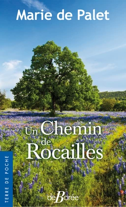 Un chemin de rocailles