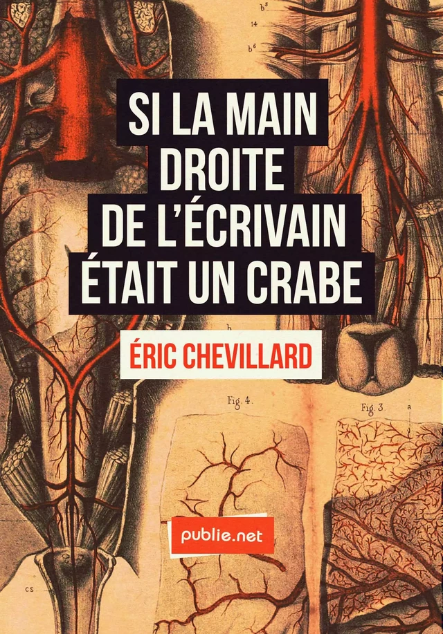 Si la main droite de l'écrivain était un crabe - Éric Chevillard - publie.net