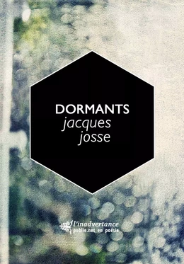 Dormants, un triptyque