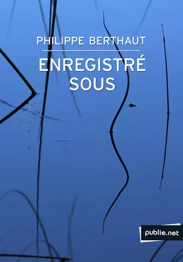 Enregistré sous...