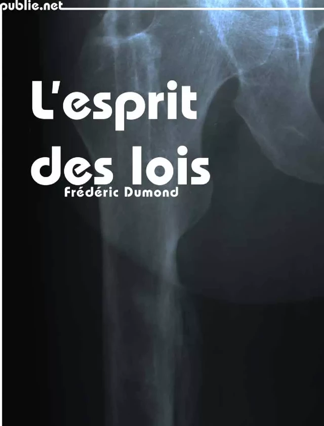 L’Esprit des lois - Frédéric Dumond - publie.net