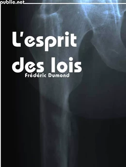 L’Esprit des lois