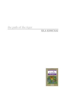 The path of the tiger