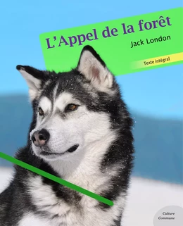 L'Appel de la forêt