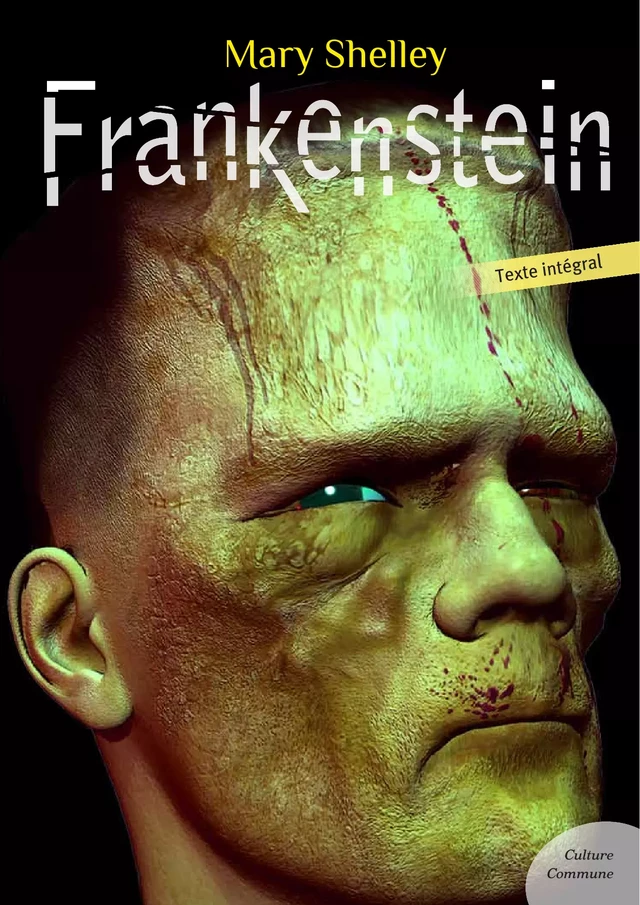 Frankenstein - Mary Shelley - Culture commune