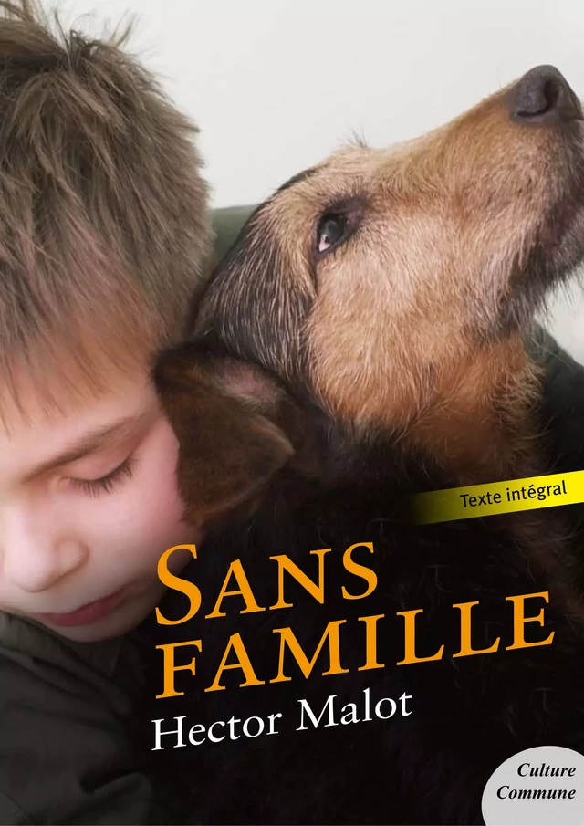 Sans famille - Hector Malot - Culture commune