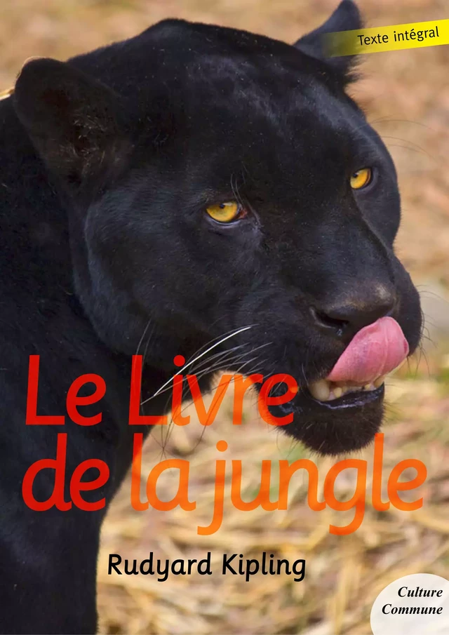 Le Livre de la jungle - Rudyard Kipling - Culture commune