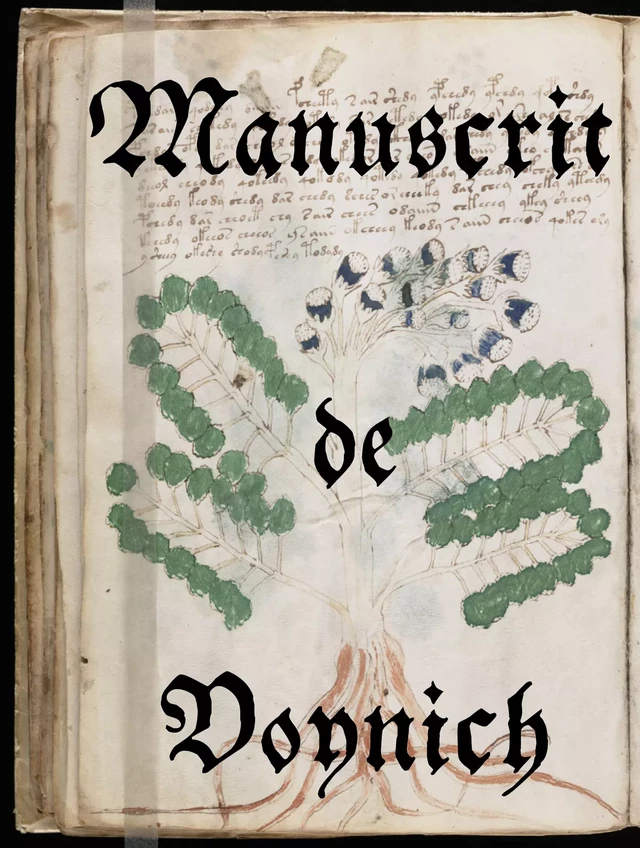 Manuscrit de Voynich - Anonyme Anonyme - e-artnow