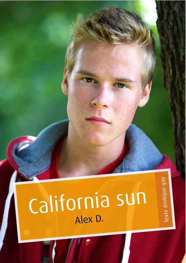 California sun (érotique gay) - Alex D. - Éditions Textes Gais