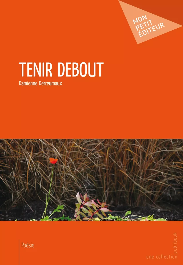 Tenir debout - Damienne Derreumaux - Mon Petit Editeur