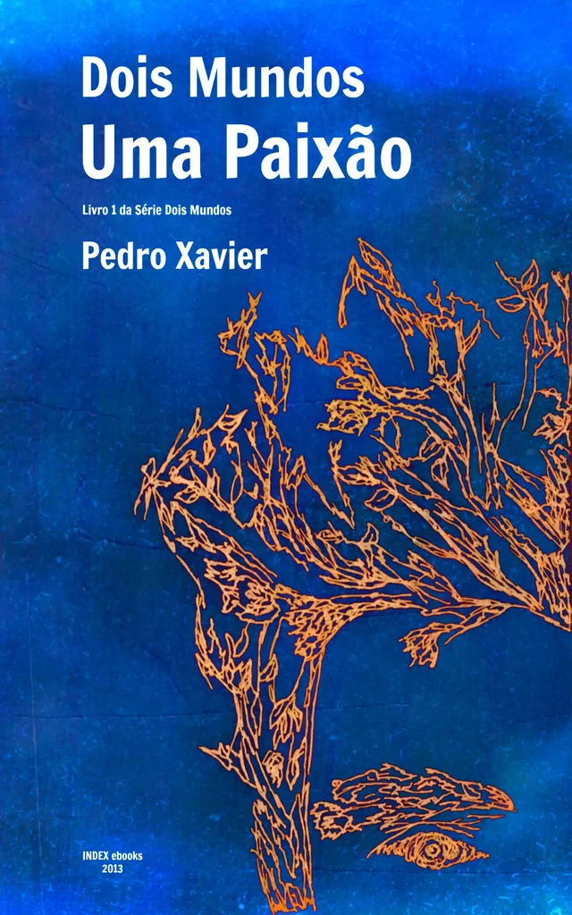 Dois Mundos, Uma Paixão - Pedro Xavier - INDEX ebooks