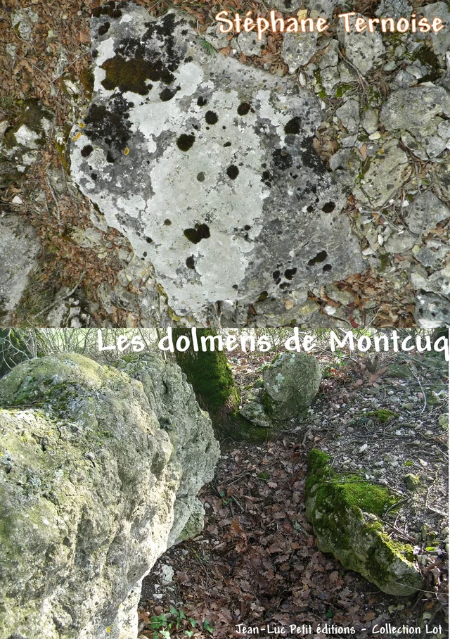 Les dolmens de Montcuq - Stéphane Ternoise - Jean-Luc PETIT Editions