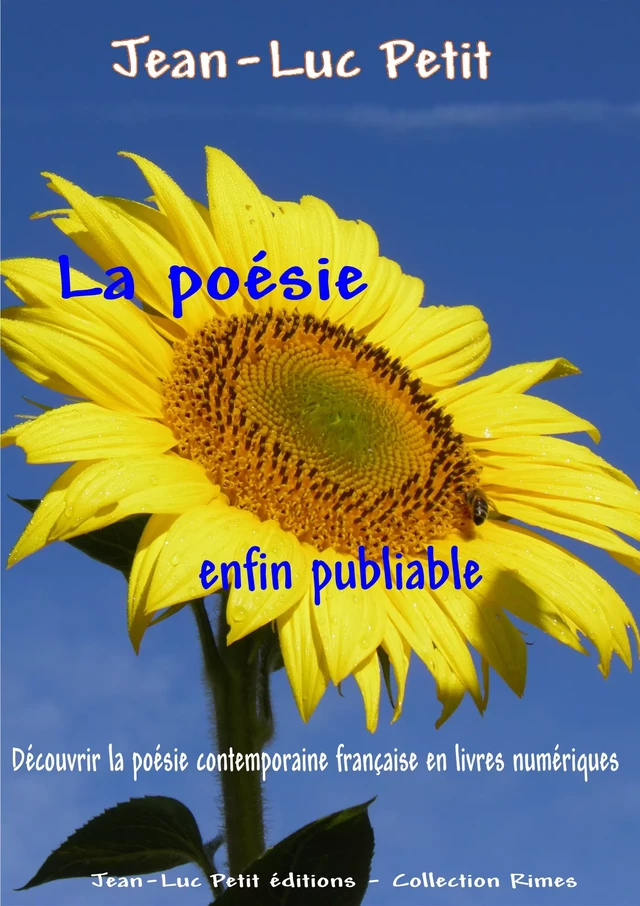 La poésie enfin publiable - Jean-Luc Petit - Jean-Luc PETIT Editions