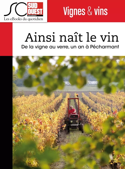 Ainsi naît le vin - Adrien Vergnolle, Emilie Drouinaud, Journal Sud Ouest - Journal Sud Ouest