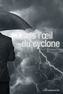 Dans l'œil du cyclone