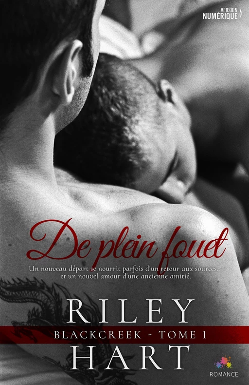 De plein fouet - Riley Hart - MxM Bookmark