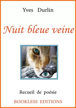 Nuit bleue veine