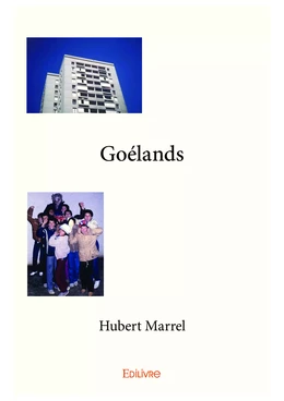 Goélands