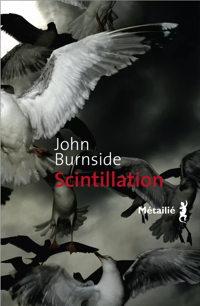 Scintillation - John Burnside - Métailié