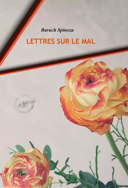 Lettres sur le mal. [Nouv. éd. revue et mise à jour].