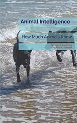 Animal Intelligence