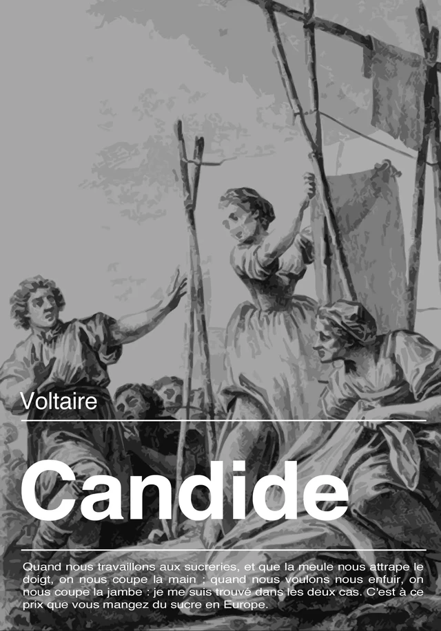 Candide -  Voltaire - Les éditions Pulsio