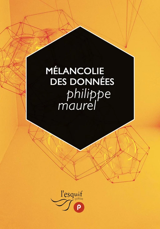 Mélancolie des données - Philippe Maurel - publie.net