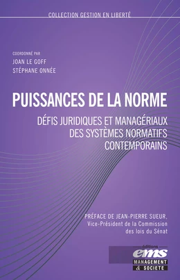 Puissance de la norme