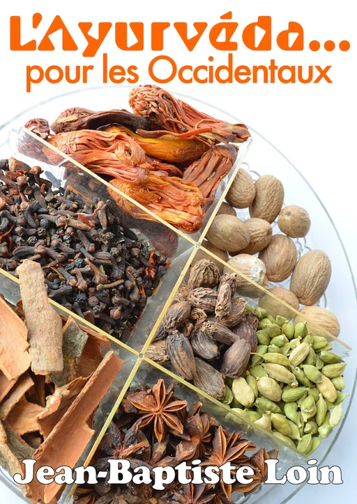 L'Ayurveda pour les Occidentaux - Jean-Baptiste Loin - Terra Media