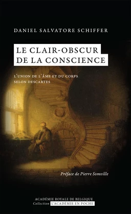 Le clair-obscur de la conscience